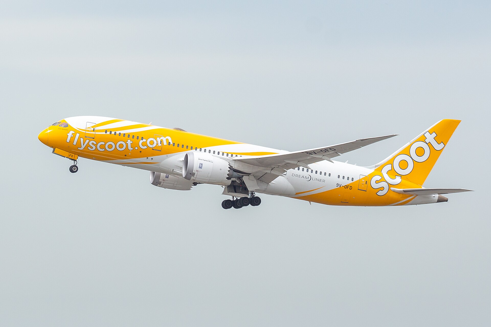Scoot aircraft — Wikimedia Commons (Wikipedia media-list) photo